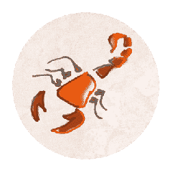 Skorpion Sternzeichen