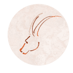 erstellt von mag wilfried weilandt